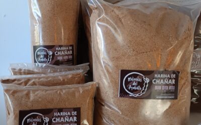 Tesoros del monte nativo: Los usos del chañar
